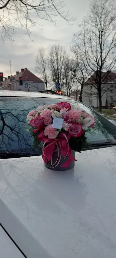 Kwiatomat Anielski Kwiat Gliwice